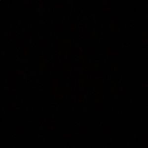 Meet your Posher, Jose